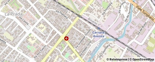 Mappa Carrara