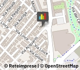 Palestre e Centri Fitness,47923Rimini