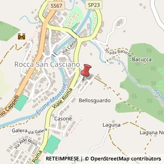 Mappa Via Paolo Borsellino e Giovanni Falcone, 8, 47017 Rocca San Casciano, Forlì-Cesena (Emilia Romagna)