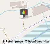 Frutta e Verdura - Dettaglio,47822Rimini