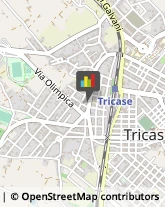 Pizzerie Tricase,73039Lecce