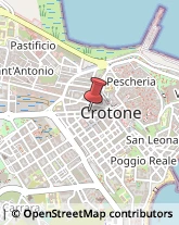 Piante e Fiori - Dettaglio Crotone,88900Crotone