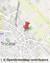 Consulenza Commerciale Tricase,73039Lecce