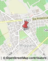 Elementari - Scuole Private Miggiano,73035Lecce