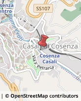 Vivai Piante e Fiori Cosenza,87100Cosenza