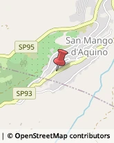 Piante e Fiori - Dettaglio San Mango d'Aquino,88040Catanzaro