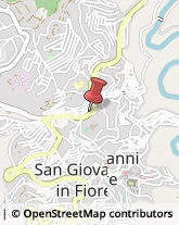 Ferro San Giovanni in Fiore,87055Cosenza