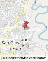 Associazioni Sindacali San Giovanni in Fiore,87055Cosenza