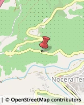 Autotrasporti Nocera Terinese,88047Catanzaro