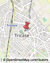 Via Milano, 11,73039Tricase