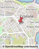 Piante e Fiori Artificiali - Dettaglio,88900Crotone