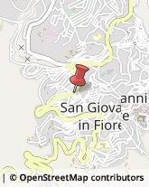 Farmacie San Giovanni in Fiore,87055Cosenza