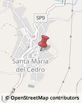 Autotrasporti Santa Maria del Cedro,87020Cosenza
