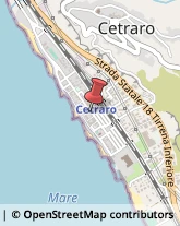 Piante e Fiori Artificiali - Dettaglio Cetraro,87022Cosenza