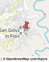 Bar e Caffetterie San Giovanni in Fiore,87055Cosenza