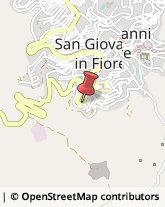 Modellismo San Giovanni in Fiore,87055Cosenza