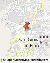 Abbigliamento San Giovanni in Fiore,87055Cosenza