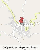 Aziende Sanitarie Locali (ASL) Pallagorio,88818Crotone