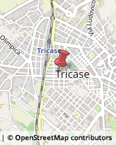 Provincia e Servizi Provinciali Tricase,73039Lecce