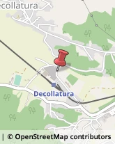 Autofficine e Centri Assistenza Decollatura,88041Catanzaro