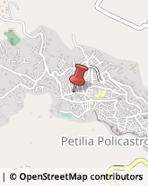Autotrasporti Petilia Policastro,88837Crotone