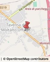 Pratiche Automobilistiche,87040Cosenza