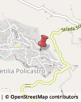 Associazioni Sindacali Petilia Policastro,88837Crotone