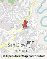Farmacie San Giovanni in Fiore,87055Cosenza