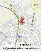 Consulenza Informatica Tricase,73039Lecce