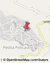 Parafarmacie Petilia Policastro,88837Crotone