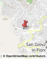Pasticcerie - Dettaglio San Giovanni in Fiore,87055Cosenza