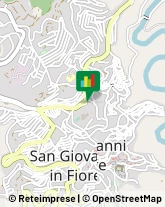 Autobus, Minibus e Filobus San Giovanni in Fiore,87055Cosenza