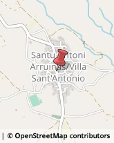 Piante e Fiori - Dettaglio Villa Sant'Antonio,09080Oristano