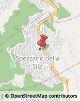 Imprese Edili Spezzano della Sila,87058Cosenza