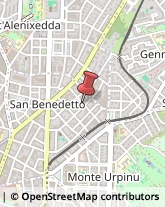 Odontoiatri e Dentisti - Medici Chirurghi,09128Cagliari