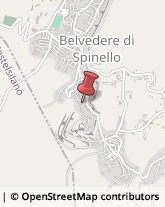 Agenti e Rappresentanti di Commercio Belvedere di Spinello,96010Crotone