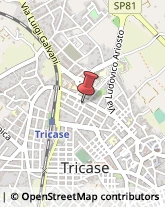 Consulenza Informatica Tricase,73039Lecce