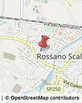 Agenzie di Vigilanza e Sorveglianza Rossano,87067Cosenza