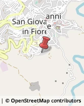 Asili Nido San Giovanni in Fiore,87055Cosenza