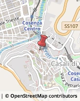 Piante e Fiori - Dettaglio Cosenza,87100Cosenza