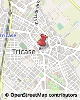 Profumerie Tricase,73039Lecce