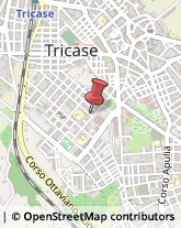 Stuccatori Tricase,73039Lecce