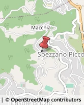 Uccelli Spezzano Piccolo,87050Cosenza