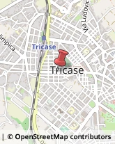 Gesso Tricase,73039Lecce