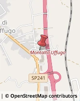 Autotrasporti Montalto Uffugo,87040Cosenza