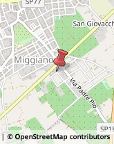 Falegnami,73035Lecce