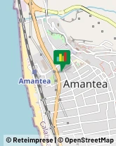 Notai Amantea,87032Cosenza