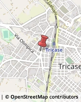 Imprese Edili Tricase,73039Lecce