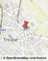 Borse - Dettaglio Tricase,73039Lecce