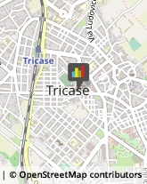 Macellerie Tricase,73039Lecce